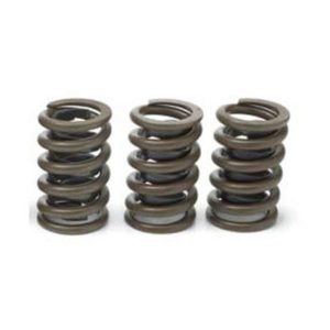 Valve Spring - 1.250" OD