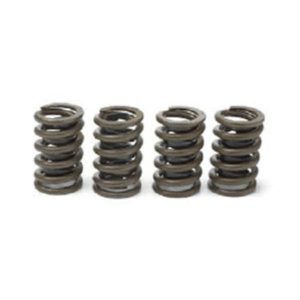 LS-Series Valve Springs