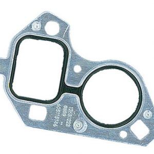 LS Series Water Pump Gasket