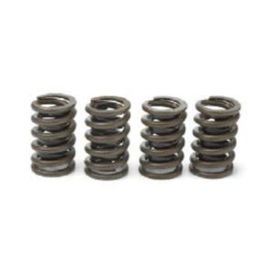 Valve Springs - 1.487" OD