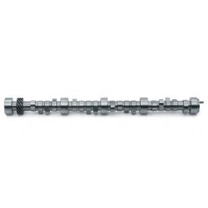 Camshaft - Hydraulic Roller