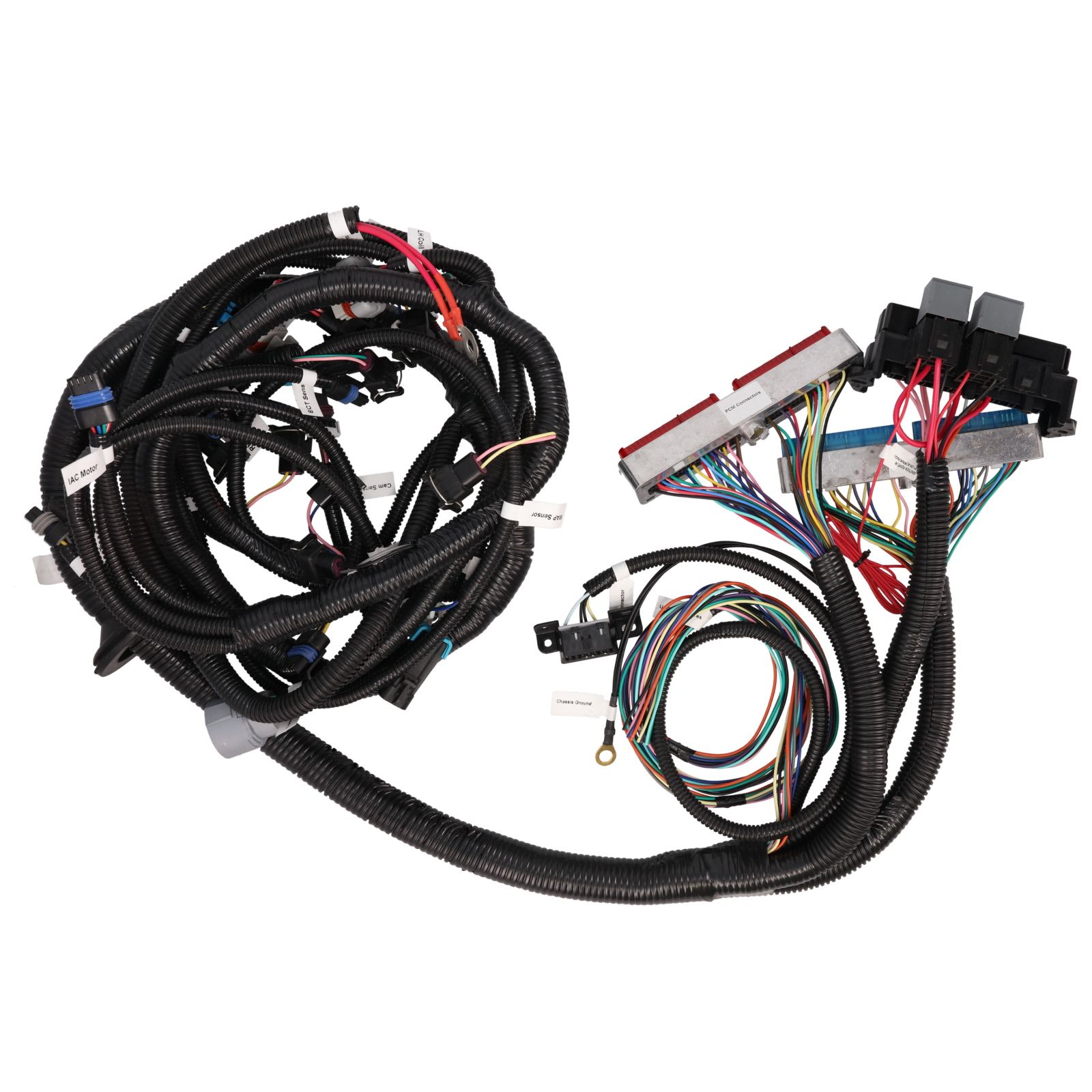 LS Swap Wiring Harness For 97-06 LS With 4L60E Transmission(Drive By Cable)
