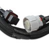 Holley EFI 550-917 Terminator X Max 24x /1x Multec 2 LS Kit w/ Trans Control - Image 3