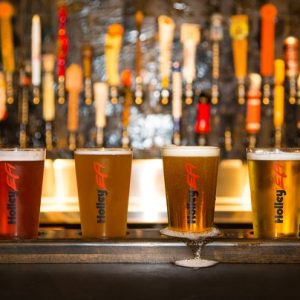 HOLLEY EFI PUB GLASSES