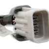 Holley EFI 558-321 Replacement Coil Sub Harnesses for 2005+ Stock LS Coils - Image 2